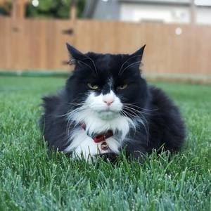 Meet your Posher, Debra